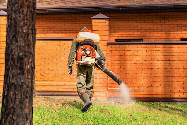 Trusted Termite Control service in Carlisle, KY - Nex Pest Control